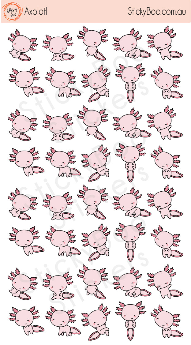 Axolotl
