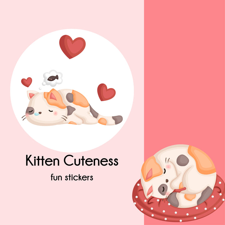 Kitten Cuteness