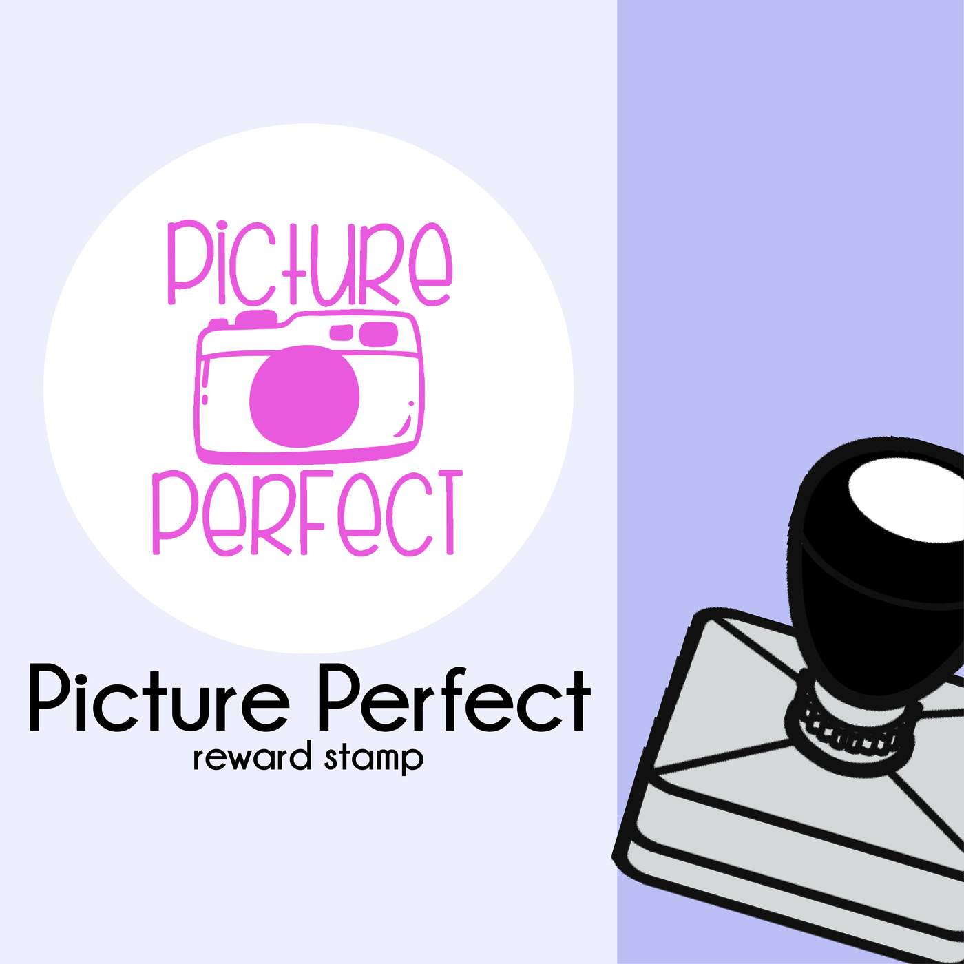 Teacher Stamp - Picture Perfect - Mindset - StickyBoo Stickers and Stamps